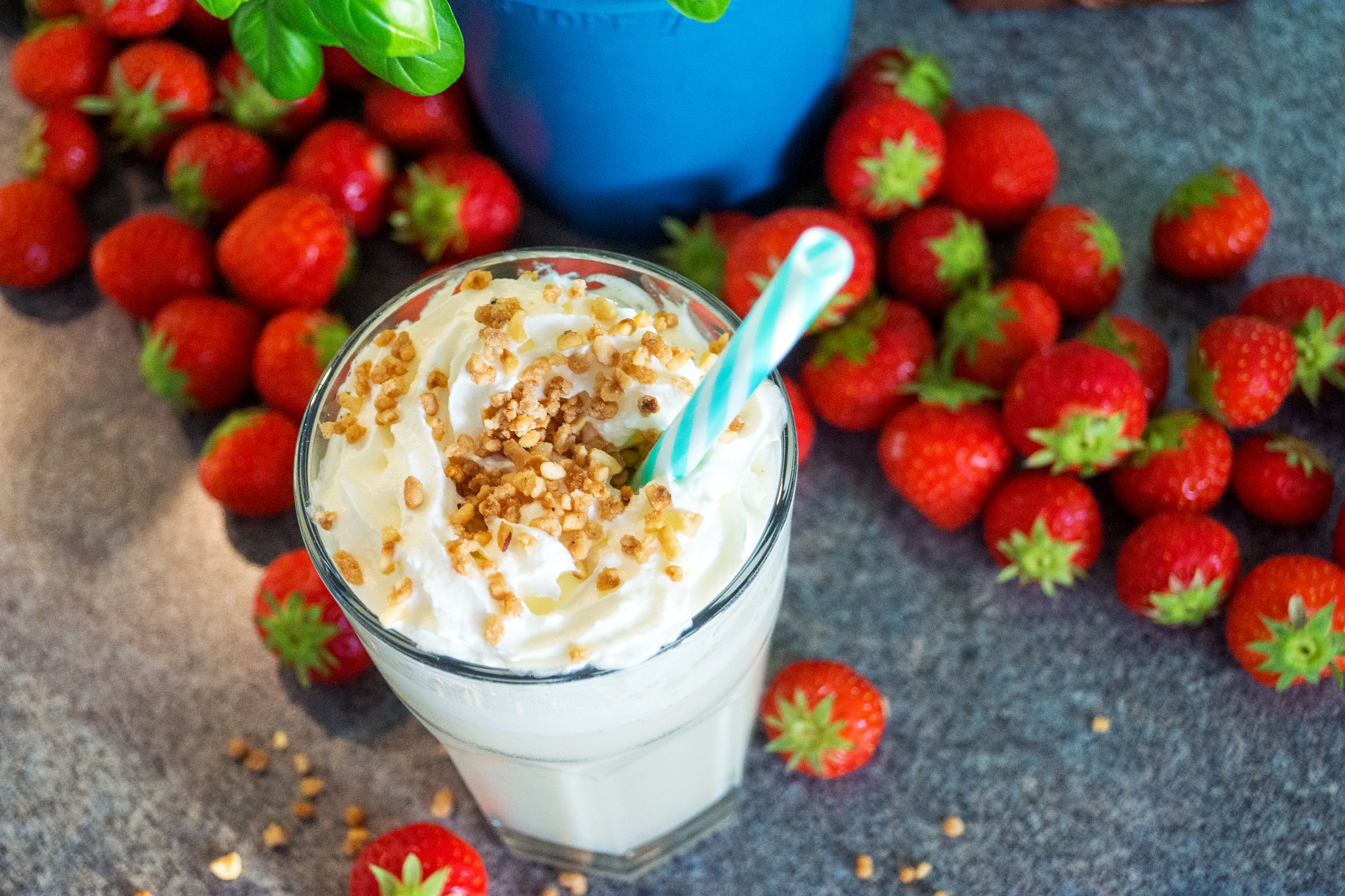 smoothie protein powder protein meal replacement shake